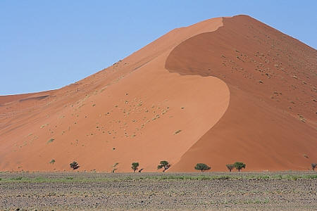 Eine der vielen Sanddünen beim Sossusvlei in der Namibwüste