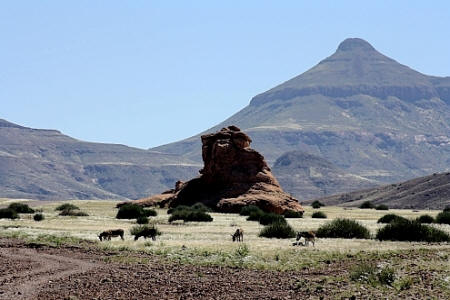 Die Pro-Namib in Südnamibia